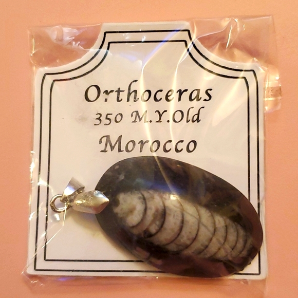 Source Unknown Jewelry - Orthoceras Pendant